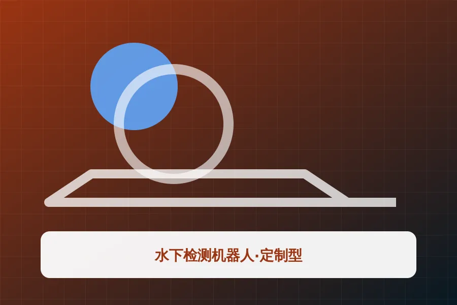 水下检测机器人·定制型应用示意图