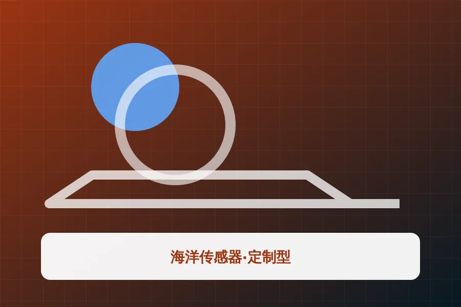 海洋传感器·定制型应用示意图